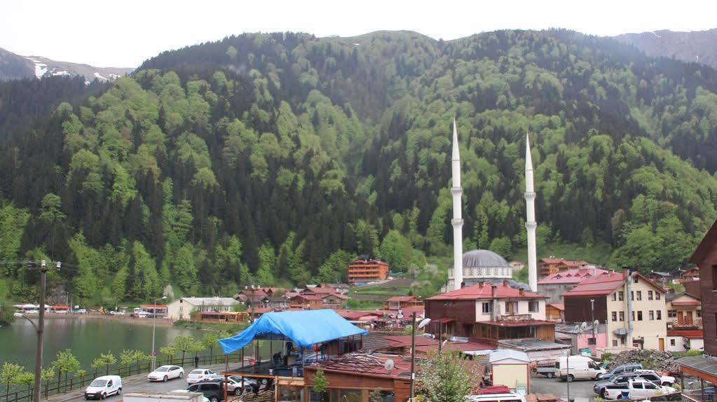 Kusva Apart Uzungöl Exteriér fotografie